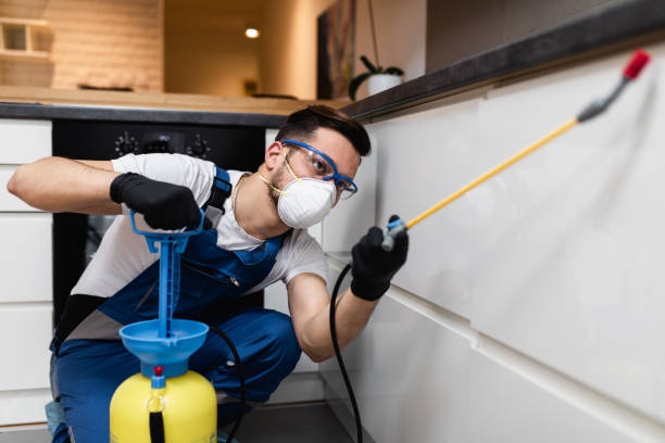 Reliable Kilmarnock, VA Pest Control Solutions