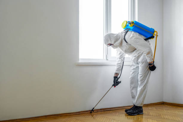 Flea Control Services in Kilmarnock, VA