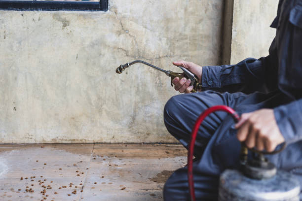 Best Emergency Pest Control  in Kilmarnock, VA