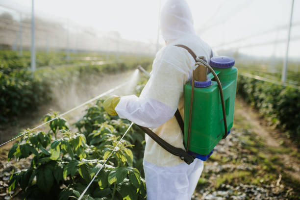 Best Mosquito Control Services  in Kilmarnock, VA